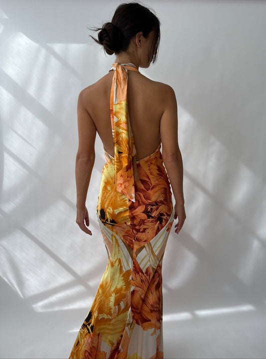 Roberto Cavalli 2005 Vintage Silk Printed Halter Dress (M)