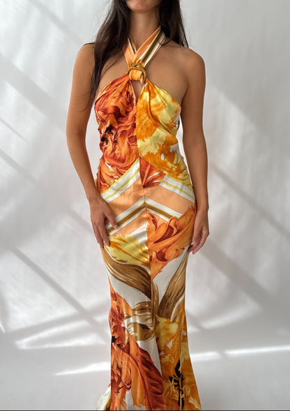 Roberto Cavalli 2005 Vintage Silk Printed Halter Dress (M)