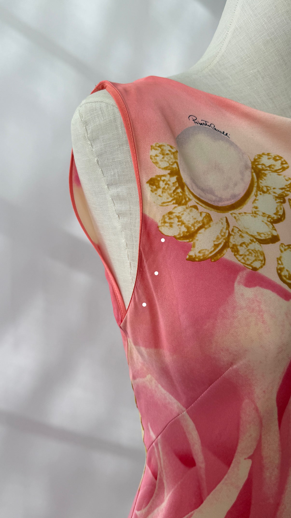 Roberto Cavalli 2001 Liz Taylor Pink Silk Runway Dress (S)