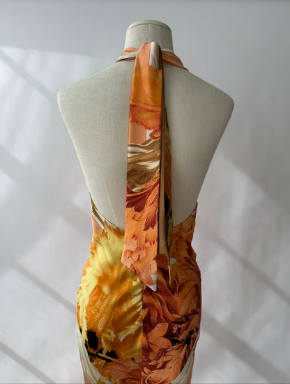 Roberto Cavalli 2005 Vintage Silk Printed Halter Dress (M)