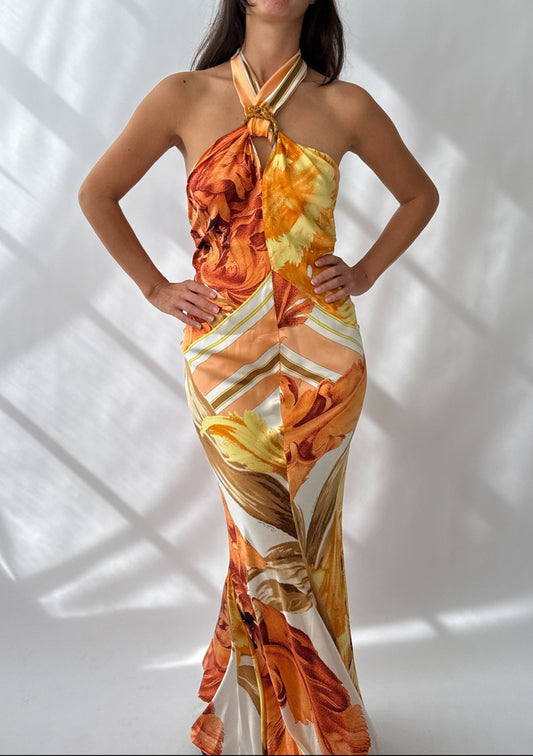 Roberto Cavalli 2005 Vintage Silk Printed Halter Dress (M)
