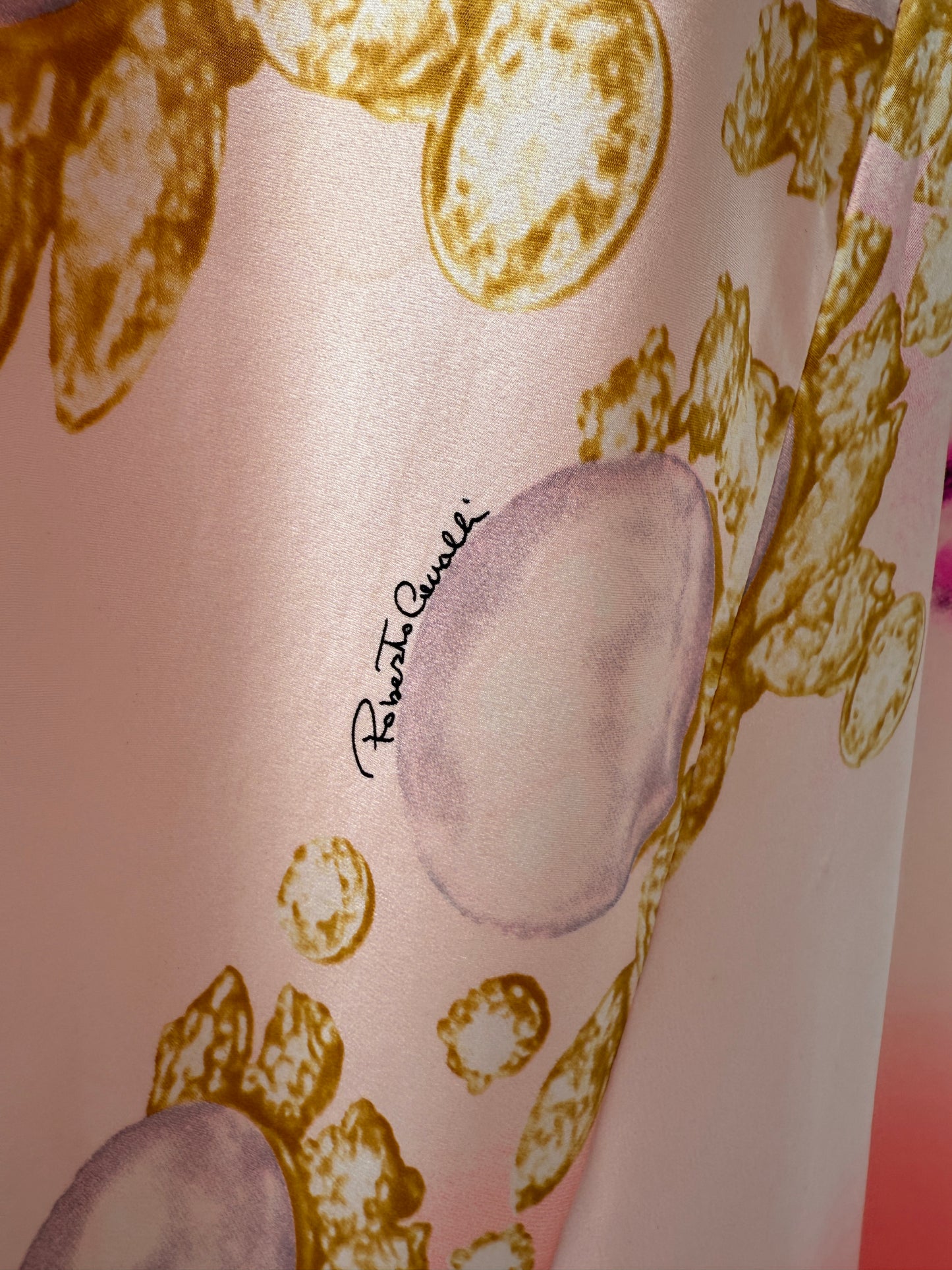 Roberto Cavalli 2001 Liz Taylor Pink Silk Runway Dress (S)