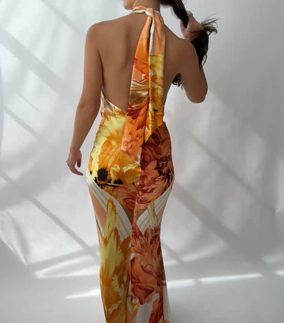 Roberto Cavalli 2005 Vintage Silk Printed Halter Dress (M)
